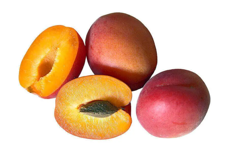 Apricots